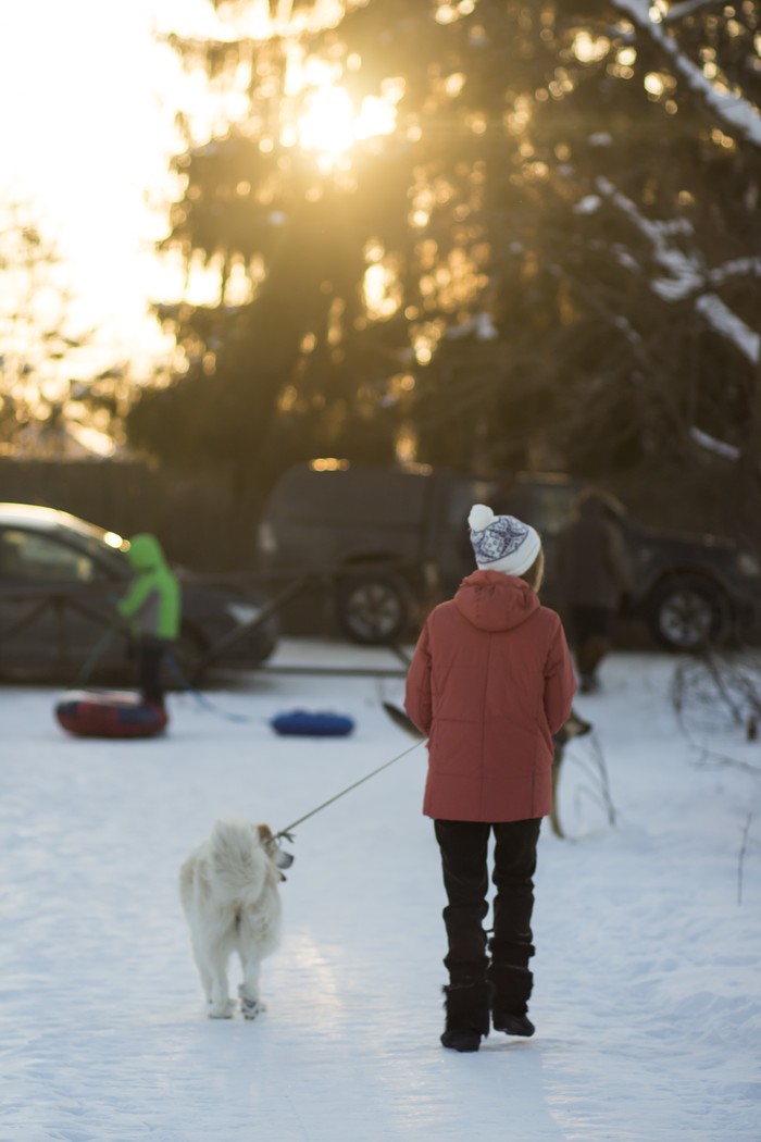 Sunny winter evening in Sablino - My, Winter, Dog, Nature, Sunset, Beginning photographer, Longpost