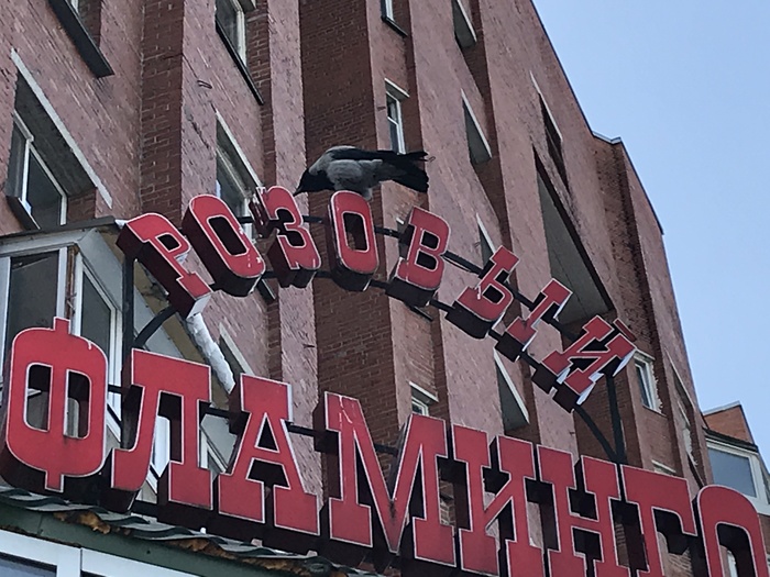 Ну почти | Пикабу