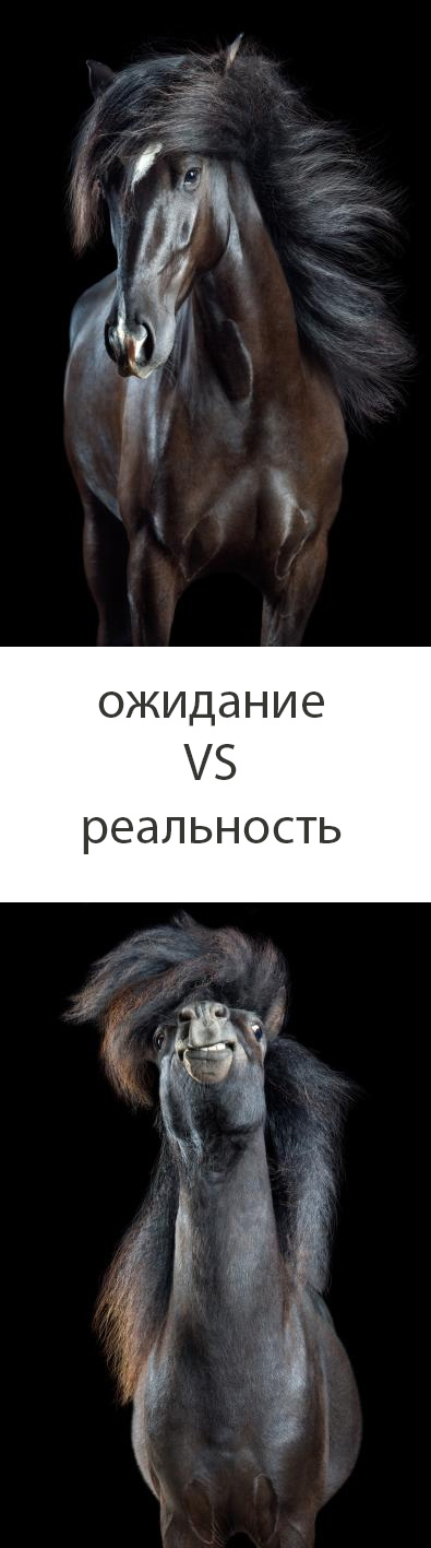 Селфи: ожидание VS реальность - Фотография, Картинки, Селфи, Юмор