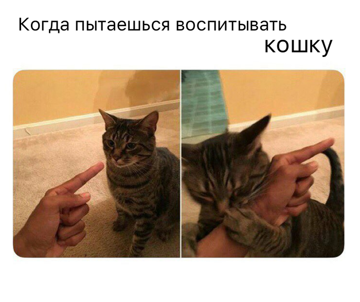 Не учите меня жить, лучше накормите!