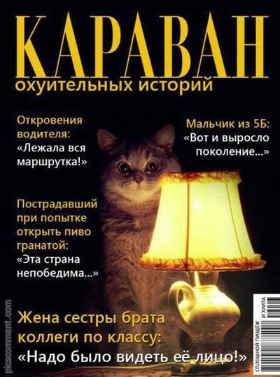 Peekaboo, please be self-critical - My, Cat with lamp, Real life story, Lie, Deception, criticality, Karmadrocking, Text, Longpost