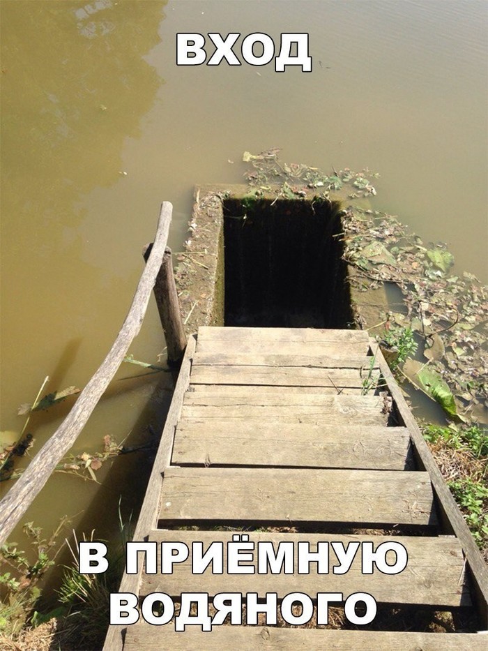 Вход найден - Водяной, Приемная, Вода, Вход, Лестница, Прикол, Юмор, Картинка с текстом