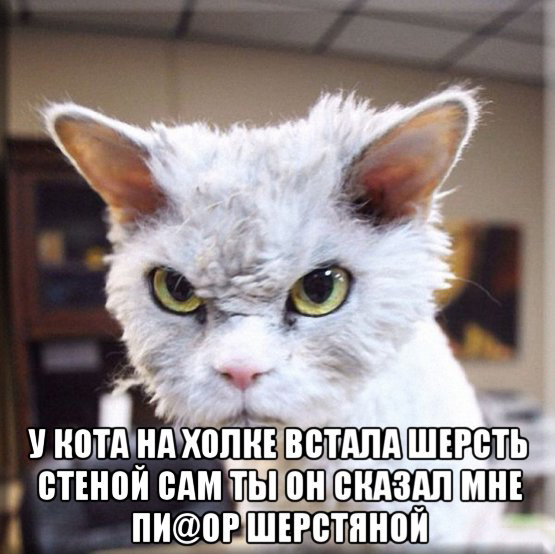 Clear)) - Picture with text, Depressing Poems, cat