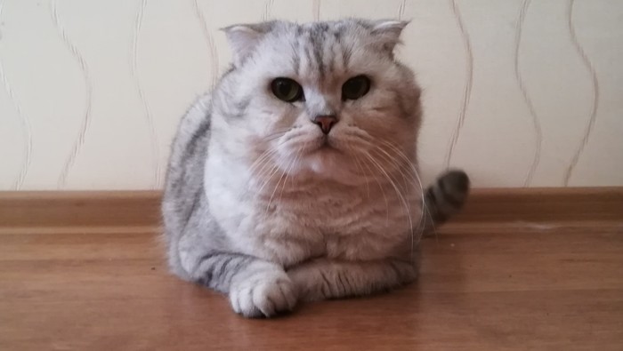 ����� ��� ����� (�� ��������, �� ��� ������)!