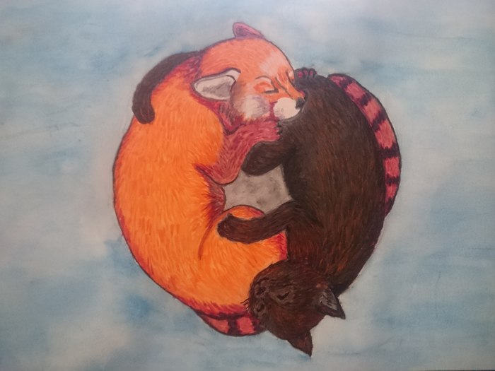 A little watercolor and cuteness. - My, Drawing, Watercolor, Creation, Junior Academy of Artists, Art, Red panda