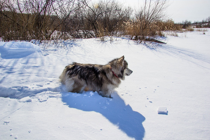 Да ну нафиг это бездорожье....