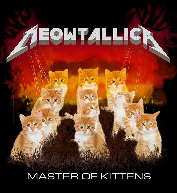   Metal, Metallica, , , , Cat-rock