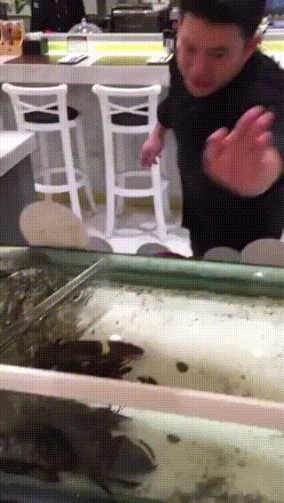 Эй, бро, дай пять!