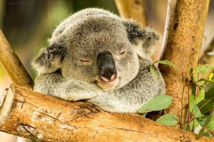 Новый дизайн П.