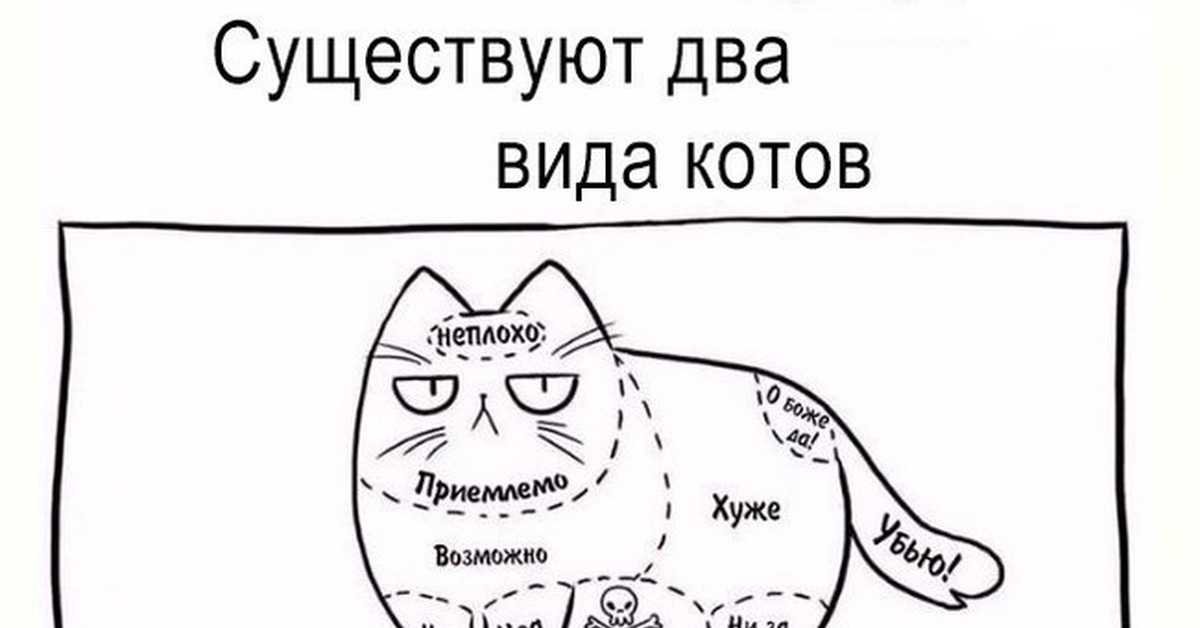 Принципиальная схема котэ