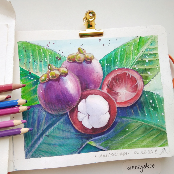 Asian fruits. Mangosteen. - My, Watercolor, Mangosteen, Фрукты, Sketch, Sketchbook, Yummy, Drawing, Graphics