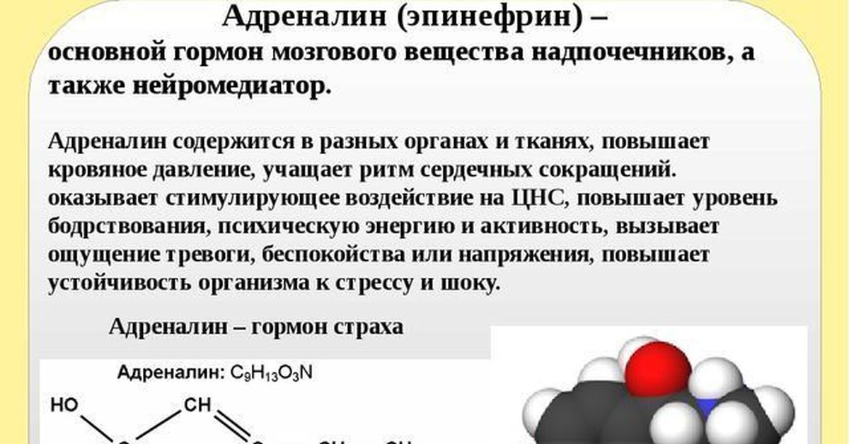 Кортизол гормон чего. Адреналин гормон. Адреналин химическая структура. Гормон адреналин выделяется. Адреналин функции гормона.