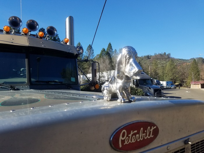 Who's a good boy?! - My, Truck, Decoration, Heavy cargo, Truckers, Humor, Smiled, Longpost