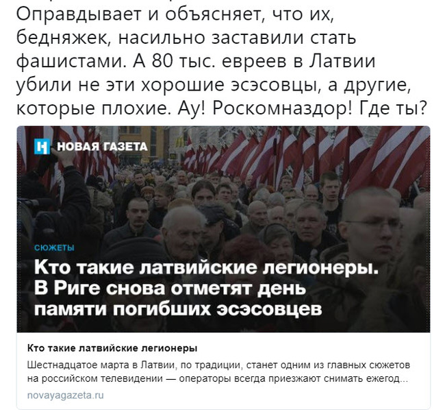 Novaya Gazeta came to the defense of the march of SS legionnaires in Riga. - , Riga, Politics, , New Newspaper, Opposition, Screenshot