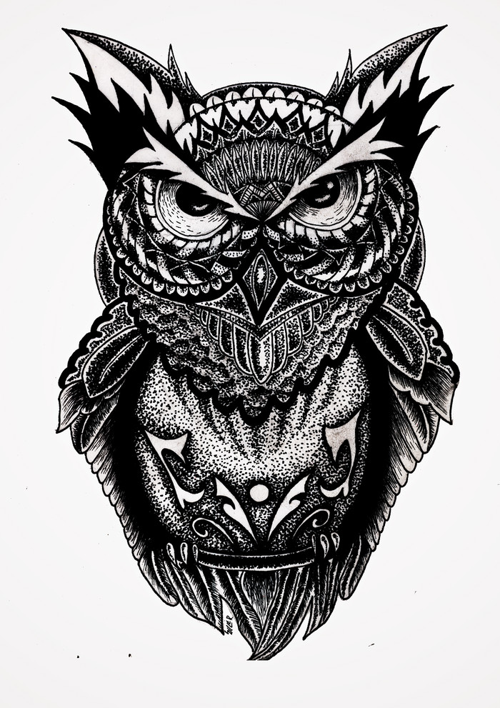 Who here loves owls? - My, Owl, Or, Owl, Probably, Everything, , , Tag