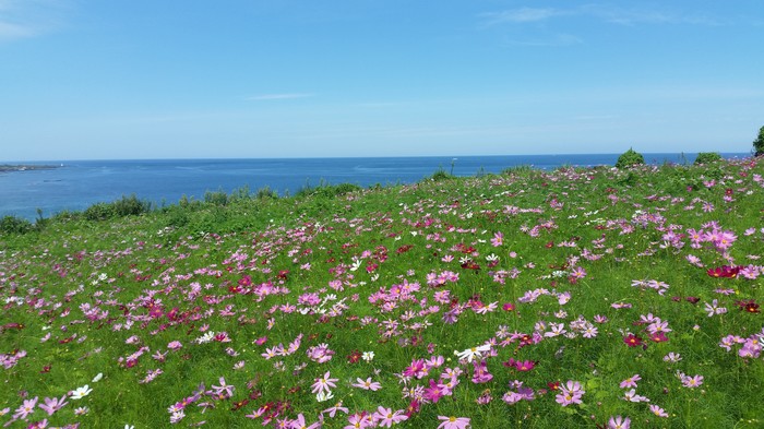 I want to be warm... - My, Summer, Sea, Jeju