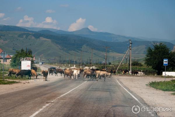 One of a hundred funny cases from Styopa's life. Beware of profanity. - My, Humor, Life stories, Ossetia, The mountains, Mat, Longpost