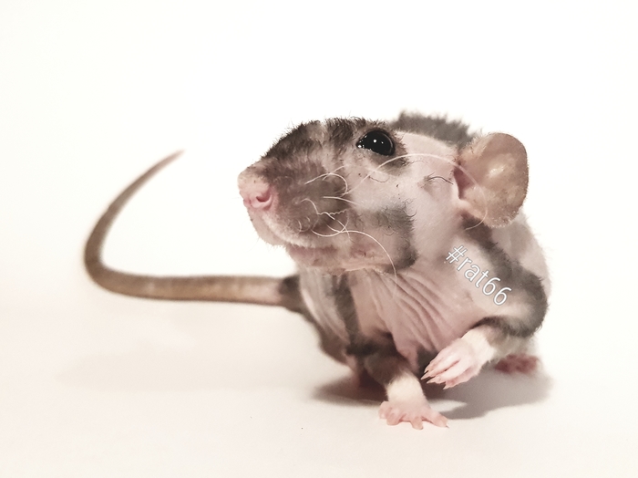 ����� �� ����� ������