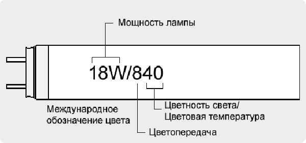 Креветочник с нуля. Освещение. - Моё, Аквариумистика, Креветки, Освещение, Длиннопост