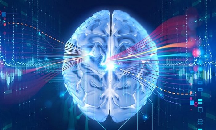 Startup Nectome, created by MIT researchers, is developing a technology for transferring the human mind to the cloud - Brain, Mit, Technologies, Development of, Startup