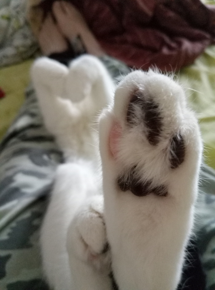 ����� ����