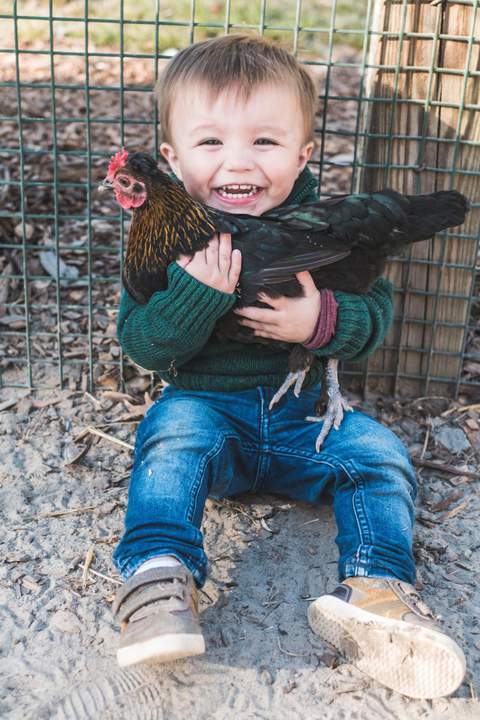 Happiness caught!! - , Hen, Children, The photo