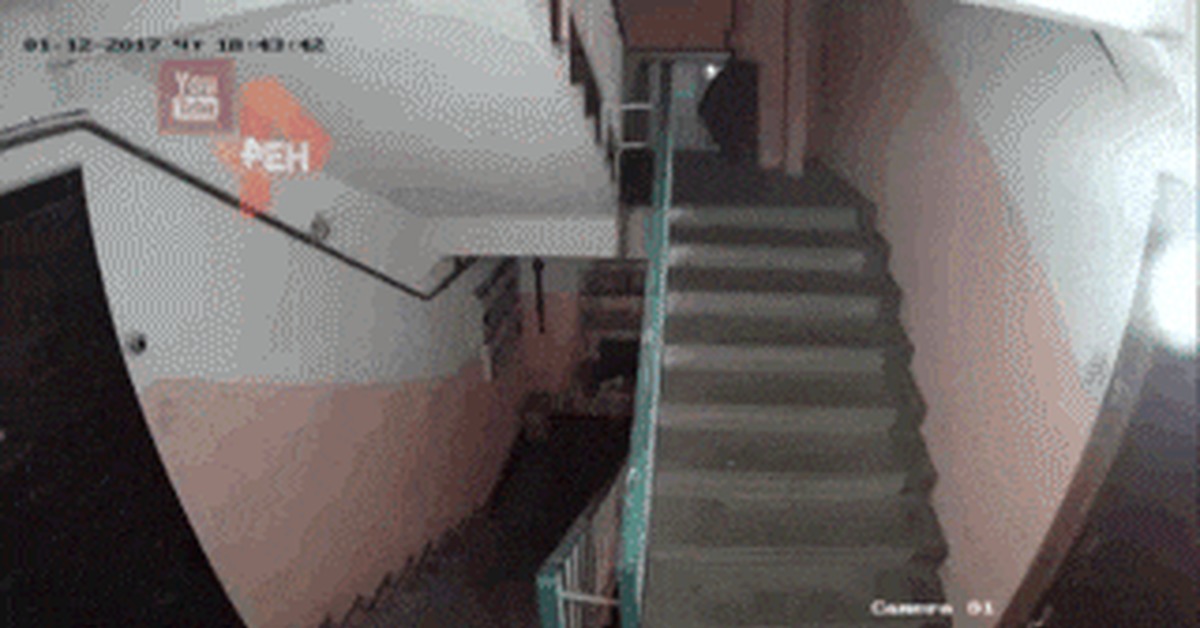 В мире животных, или когда знаешь о 153 ФЗ, но не знаешь зачем он. | Пикабу