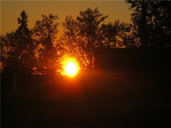 Rural sketches. 3 o'clock - My, Village, Summer, Nature, May, Longpost