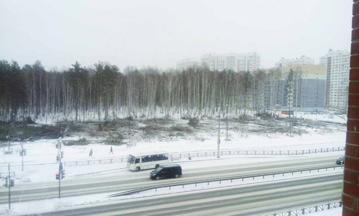 Вырубка парка в Екатеринбурге - Екатеринбург, Вырубка, Власть, Лес, Парк, Длиннопост, Без рейтинга