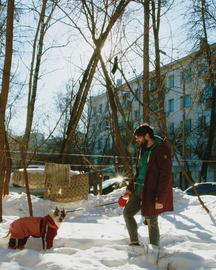 В ожидании весны - Моё, Амстафф, Москва, Весна, Собаки и люди, Солнце, Снег