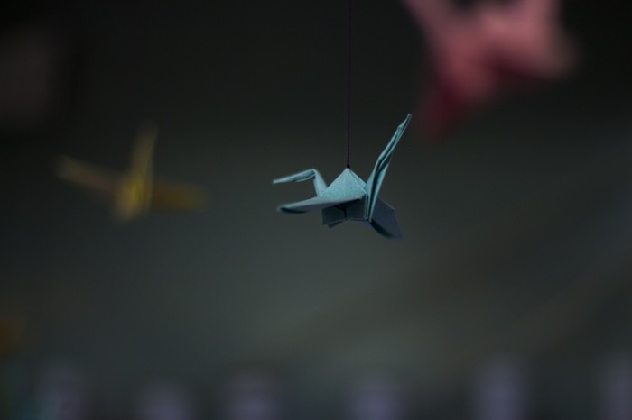 Origami - My, Origami, The photo, Canon, Birds