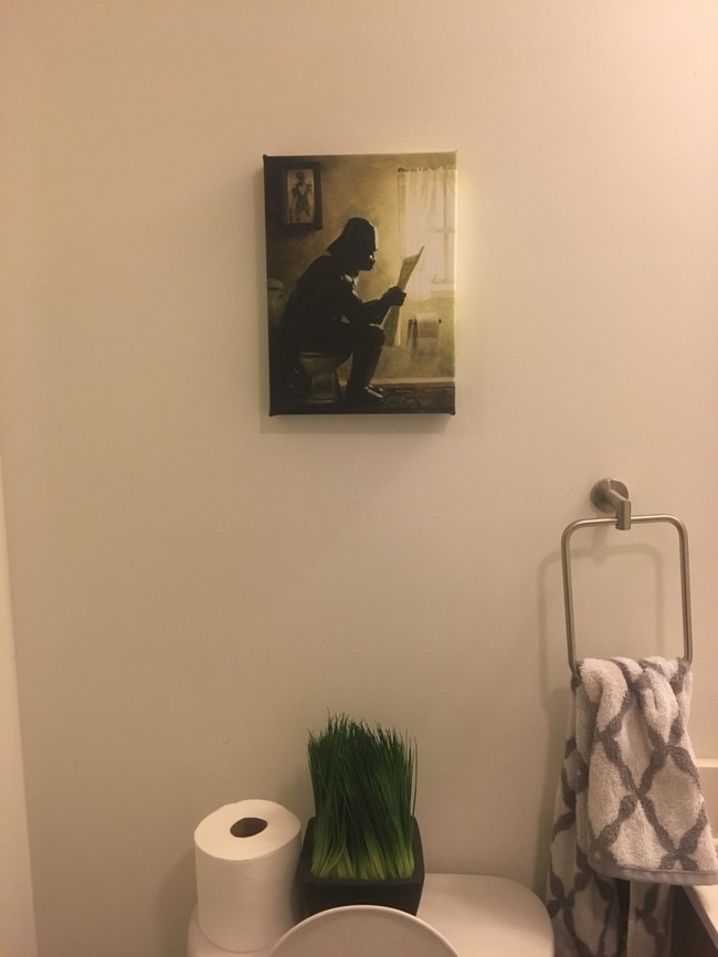 When you trust a man to decorate your bathroom - Designer, Darth vader, Longpost