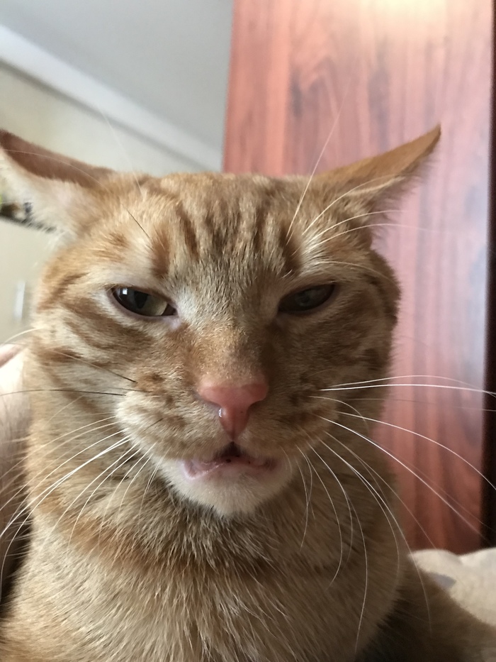 ������ �� �������...!