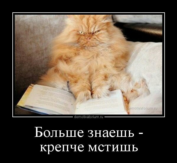 The expression on the cat's face is just gorgeous))) - cat, Demotivator, Books