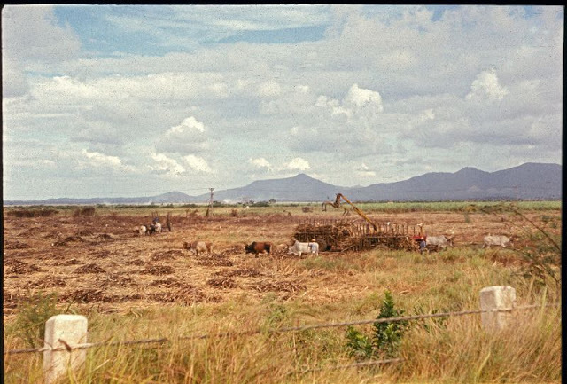 Cuba in the 70s. - Cuba, Story, Historical photo, Longpost