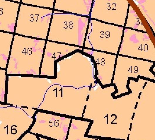 Nuances and errors when orienting along quarterly pillars - My, Forest, Forestry, Orientation, Longpost