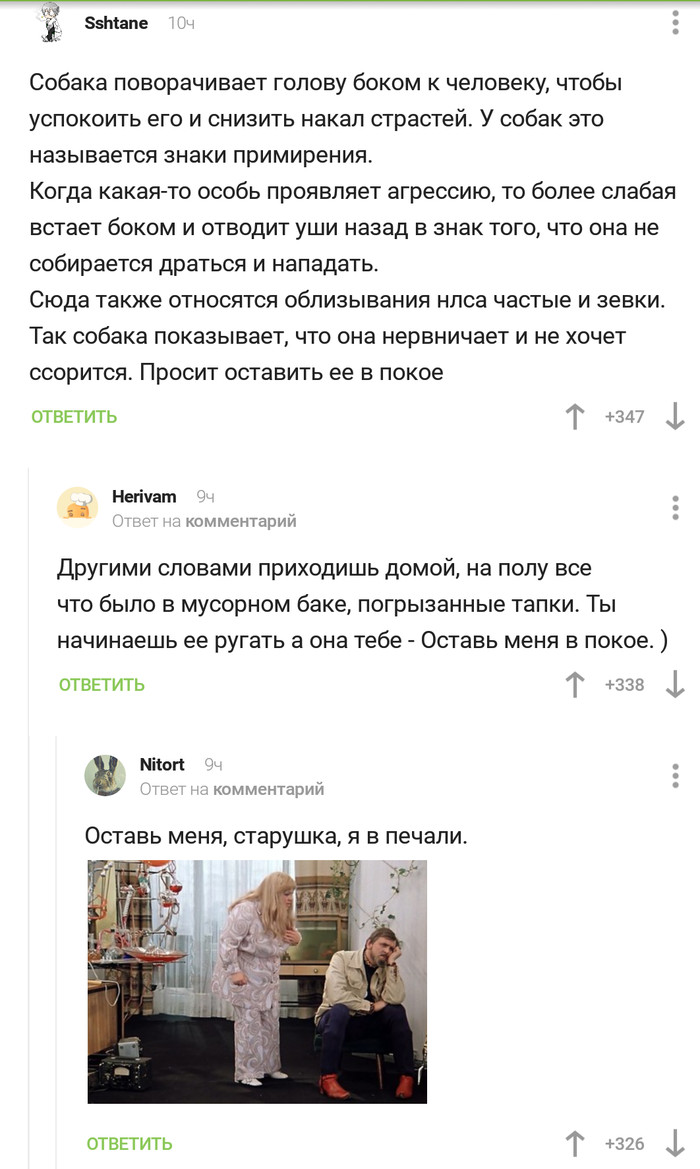 Когда не хочешь ругаться - Скриншот, Комментарии на Пикабу, Собака, Оставь меня в покое, Отстань