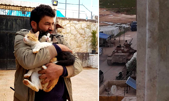 Mohammed Jalil is a man who takes care of animals in one of the most dangerous places on earth. - , cat, Shelter, Syria, , Pet, The photo, Longpost, Pets