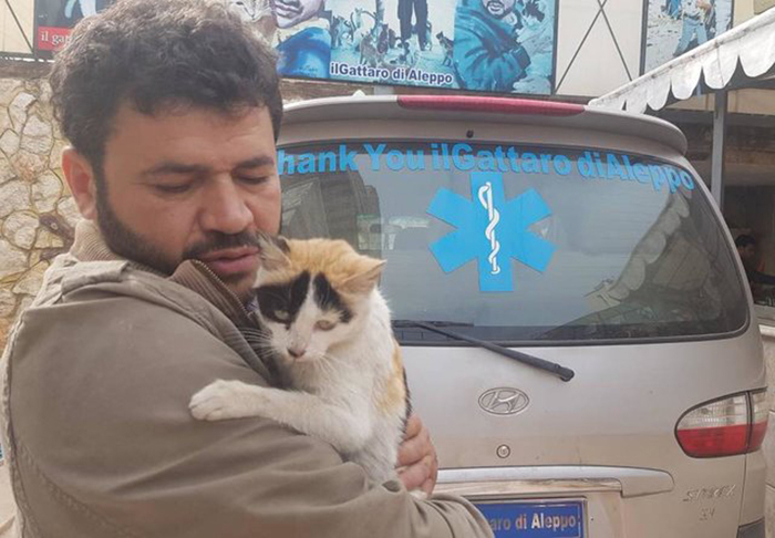 Mohammed Jalil is a man who takes care of animals in one of the most dangerous places on earth. - , cat, Shelter, Syria, , Pet, The photo, Longpost, Pets