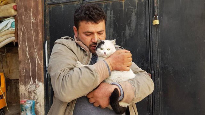 Mohammed Jalil is a man who takes care of animals in one of the most dangerous places on earth. - , cat, Shelter, Syria, , Pet, The photo, Longpost, Pets