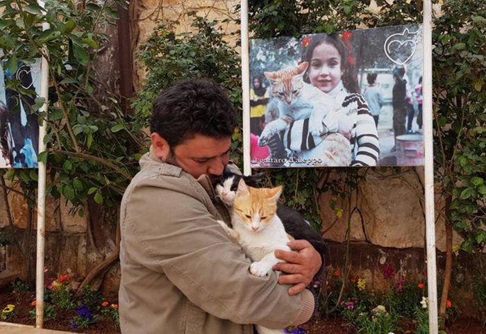 Mohammed Jalil is a man who takes care of animals in one of the most dangerous places on earth. - , cat, Shelter, Syria, , Pet, The photo, Longpost, Pets