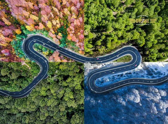 One road, four seasons - Road, Seasons, Drone, The photo, Collage