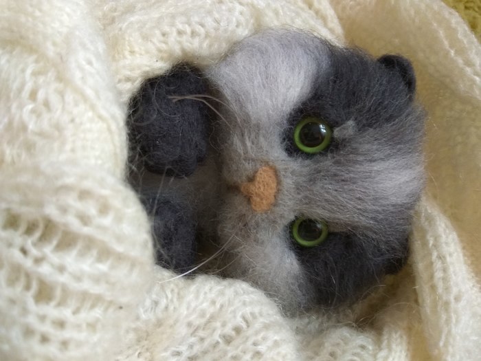 Wool cat. Dry felting. - Longpost, Needlework without process, Hobby, cat, , Dry felting, My