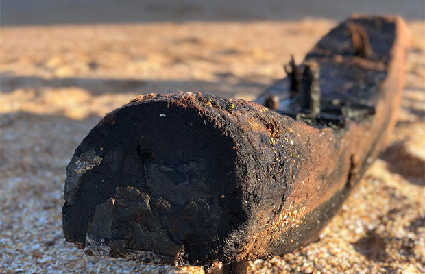 The wreckage of an 18th-century ship washed up on the coast of Florida - USA, Ship, Find, Longpost, Florida, The photo