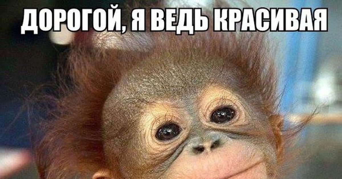 Я прекрасен 4. Дорогой я красивая. Я красивая приколы. Ты и без косметики красивая. Ты и без косметики красивая картинка с надписью.