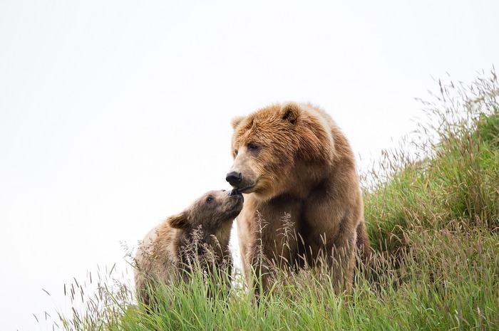      . The National Geographic, , , , 
