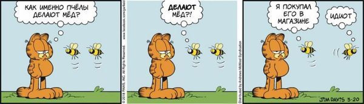 Honey cot