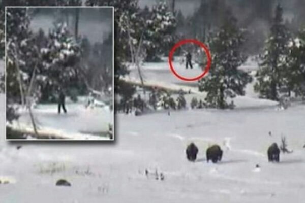 Bigfoot was seen in Karkaralinsk. - Yeti, Kazakhstan, Karkaralinsk