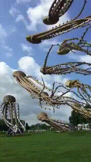 Воздушные осьминоги. Воздушные змеи, Небольшая крипота, Гифка, Видео