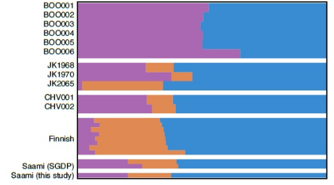 Siberian genes among the peoples of North-Eastern Europe. The Saami are pioneers. - Genetics, Population, Finns, Genes, Russians, Kola Peninsula, Sami, Siberia, Longpost